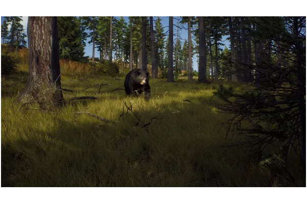 Way Of The Hunter 2 Xbox (Series X)