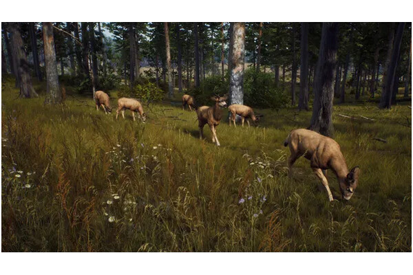 Way Of The Hunter 2 Xbox (Series X)