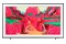 Telewizor Samsung QE75LS03FWUXXH 75" 4K Ultra HD