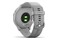 Smartwatch Garmin Vivomove 3 1.30" Szaro-srebrny