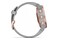 Smartwatch Garmin Fenix 6S 1.20" szary