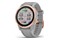 Smartwatch Garmin Fenix 6S 1.20" szary