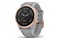 Smartwatch Garmin Fenix 6S 1.20" szary