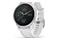 Smartwatch Garmin Fenix 6S 1.20" biało-srebrny