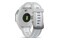 Smartwatch Garmin Forerunner 165 szary