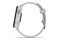 Smartwatch Garmin Forerunner 165 szary