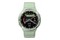 Smartwatch MaxCom Titan zielony