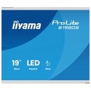 Monitor 19.0" IIYAMA B1980S-W1 biały
