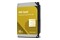 Dysk wewnętrzny WD Gold HDD SATA (3.5") 12TB