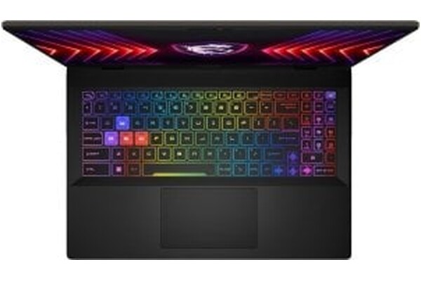 Laptop MSI Sword 16 16.0" Intel Core i7 14650HX NVIDIA GeForce RTX 4060 32GB 1TB SSD M.2 Windows 11 Home czarny