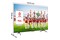 Telewizor TCL 55" 4K Ultra HD 55P755
