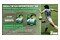 EA SPORTS FC 25 Nintendo Switch