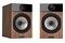 Kolumny Fyne Audio F301 50W, 2szt., brązowy