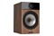 Kolumny Fyne Audio F301 50W, 2szt., brązowy