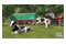 Farming Simulator Signature Edition Nintendo Switch