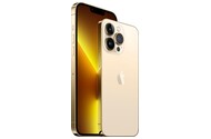 Smartfon Apple iPhone 13 Pro Max 5G złoty 6.70" 1000.0GB