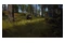 Way Of The Hunter 2 PC