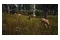 Way Of The Hunter 2 PC
