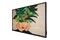 Monitor 42.5" Philips D-Line 43BDL4511D/00 czarny