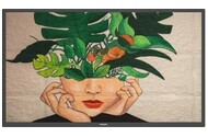 Monitor 64.5" Philips D-Line 65BDL4511D/00 czarny