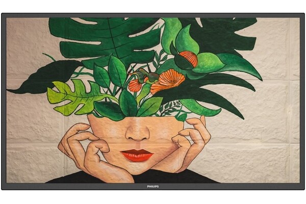 Monitor 64.5" Philips D-Line 65BDL4511D/00 czarny
