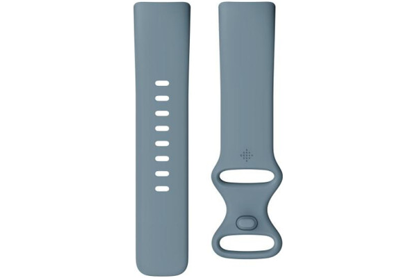 Smartwatch Google Fitbit Charge 5 Platynowo-niebieski