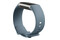 Smartwatch Google Fitbit Charge 5 Platynowo-niebieski