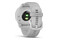 Smartwatch Garmin Vivomove Trend 1.01" szary