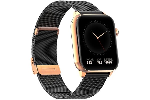 Smartwatch MaxCom FW64 Oxygen szary