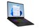 Laptop MSI Crosshair 17 17.3" Intel Core Ultra 7 255HX Nvidia GeForce RTX 5060 4GB 2TB SSD Windows 11 Home czarny