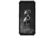 Smartfon Ulefone Armor 28 Pro 5G czarny 6.67" 16.0GB/512.0GB