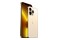 Smartfon Apple iPhone 13 Pro Max 5G złoty 6.70" 6.0GB/512.0GB