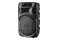 głośnik Bluetooth DEFENDER Boomer 12 czarny