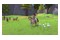 Barbie Horse Trails PlayStation 4