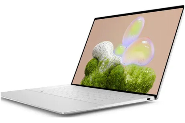 Laptop DELL XPS 13 13.3" Intel Core Ultra 7 258V Intel Arc 32GB 1TB SSD Windows 11 Professional platynowy