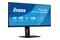 Monitor 34.0" IIYAMA XUB3493WQSU-B6 czarny