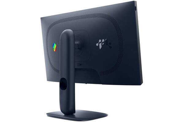 Monitor 24.5" DELL AW2525HM grafitowy