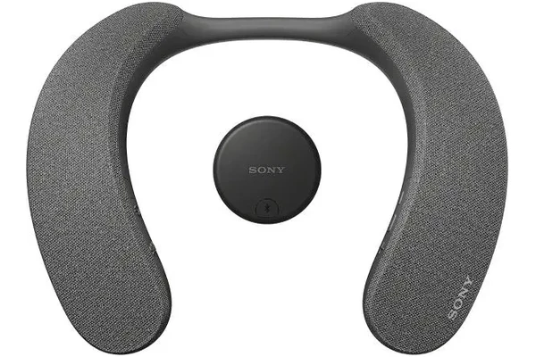głośnik Bluetooth Sony SRS-NS7 czarny