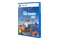 Flight Simulator Edycja 2024 Edycja Standardowa PlayStation 5