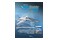 Flight Simulator Edycja 2024 Edycja Standardowa PlayStation 5