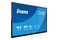 Monitor 15.6" IIYAMA P1671HSC-B1 czarny