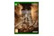 Little Nightmares III Xbox (One/Series X)