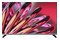 Telewizor CHIQ L32QM10V 32" Full HD