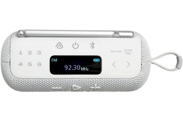 głośnik Bluetooth JBL Tuner 3