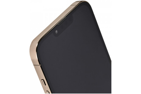 Smartfon Apple iPhone 13 Pro Max złoty 6.70" 128.0GB