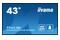 Monitor 42.5" IIYAMA LH4360UHS-B2AG czarny