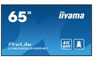 Monitor 64.5" IIYAMA LH6565UHSB-B1 czarny