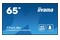 Monitor 64.5" IIYAMA LH6565UHSB-B1 czarny