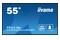 Monitor 54.6" IIYAMA LH5565UHSB-B1 czarny