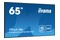 Monitor 64.5" IIYAMA LH6541UHS-B1AG czarny